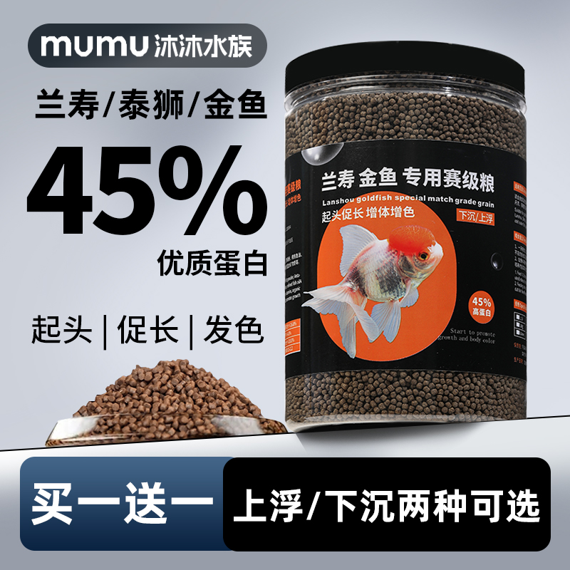 兰寿金鱼上浮下沉高蛋白增体发色