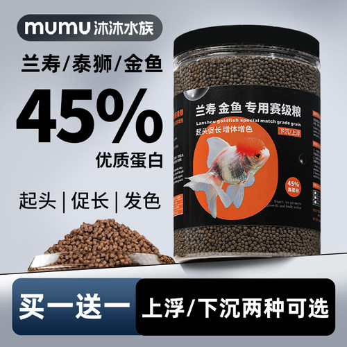 兰寿金鱼上浮下沉高蛋白增体发色