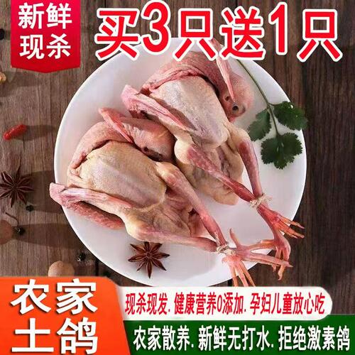 品源昇4只土鸽子现杀新鲜乳鸽子孕妇孩童老人适宜土鸽子煲汤食材