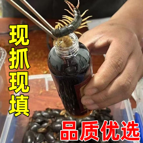 武道圣方蛇蝎五毒透骨液200ml