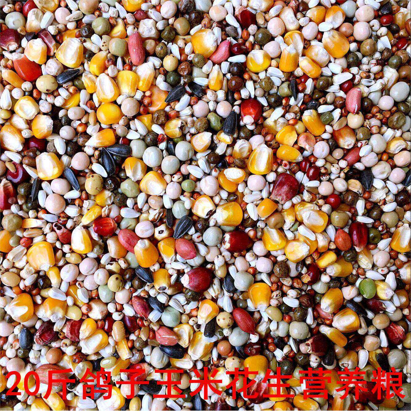 鸽粮50斤包邮八食玉米粒