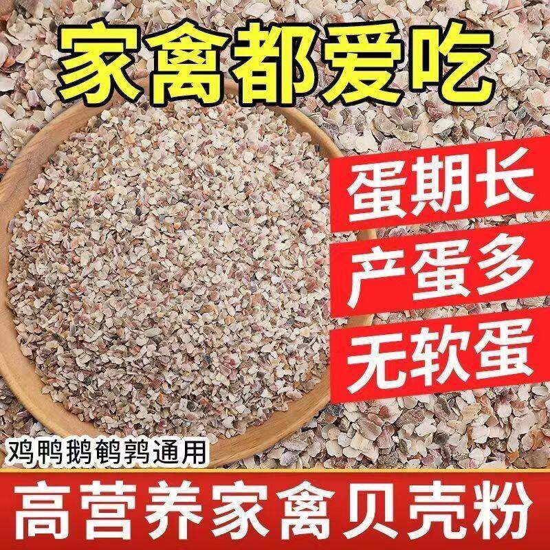 优质高钙贝壳粉适用鸡鸭
