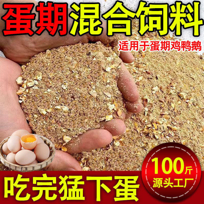 新鲜全营养鸡饲料鸡鸭鹅
