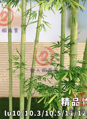 lumion10/10.3/10.5/11/12高清植物竹子中式毛竹雷竹写实级别推荐