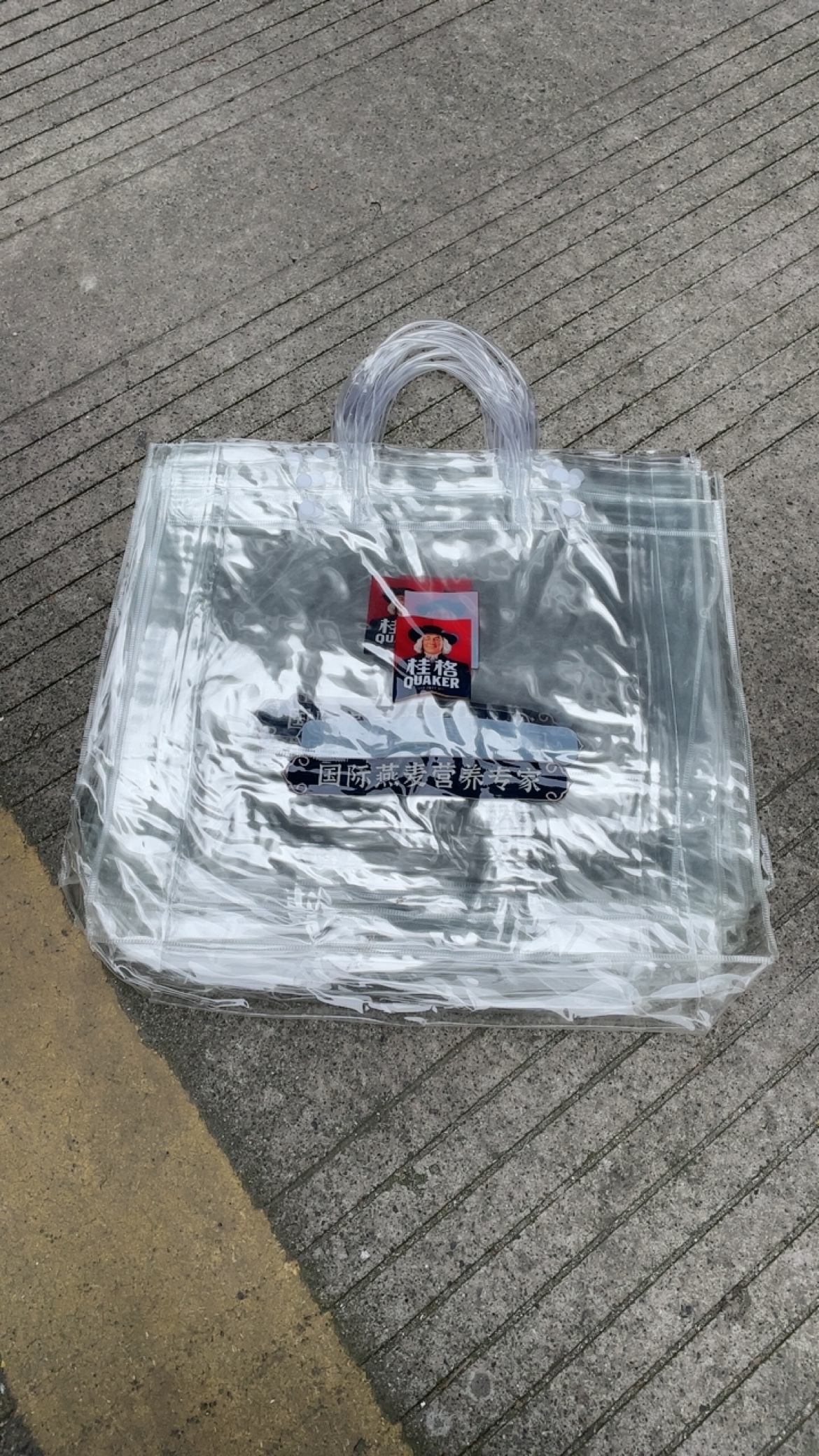 10个带暗扣的透明礼品袋手提袋塑料袋包装袋大号桂格礼品袋子