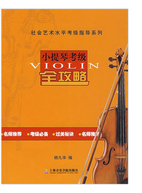 小提琴考级全攻略社会艺术水平
