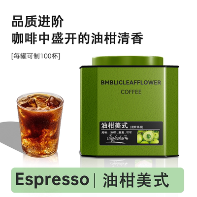 景福山 油柑美式速溶冰美式黑咖啡0脂肪代用花草茶新茶咖200g罐装