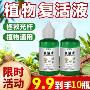 通用型植物花卉复活液针对光杆植物发黄掉叶生长素快速增强活性