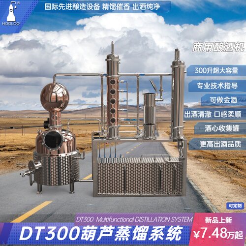 葫芦dt300多功能酿酒机设备大型