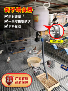 鸽子用品自动喂食器定时定量投食器喂料机信鸽观赏鸽鸡鸭鹅狗鱼。