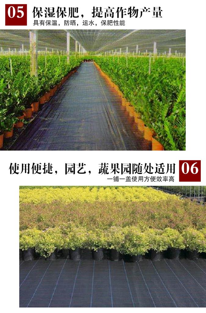 塑料地钉防草布除草55布钉园艺果园用品单张打孔草地布农用大棚垫