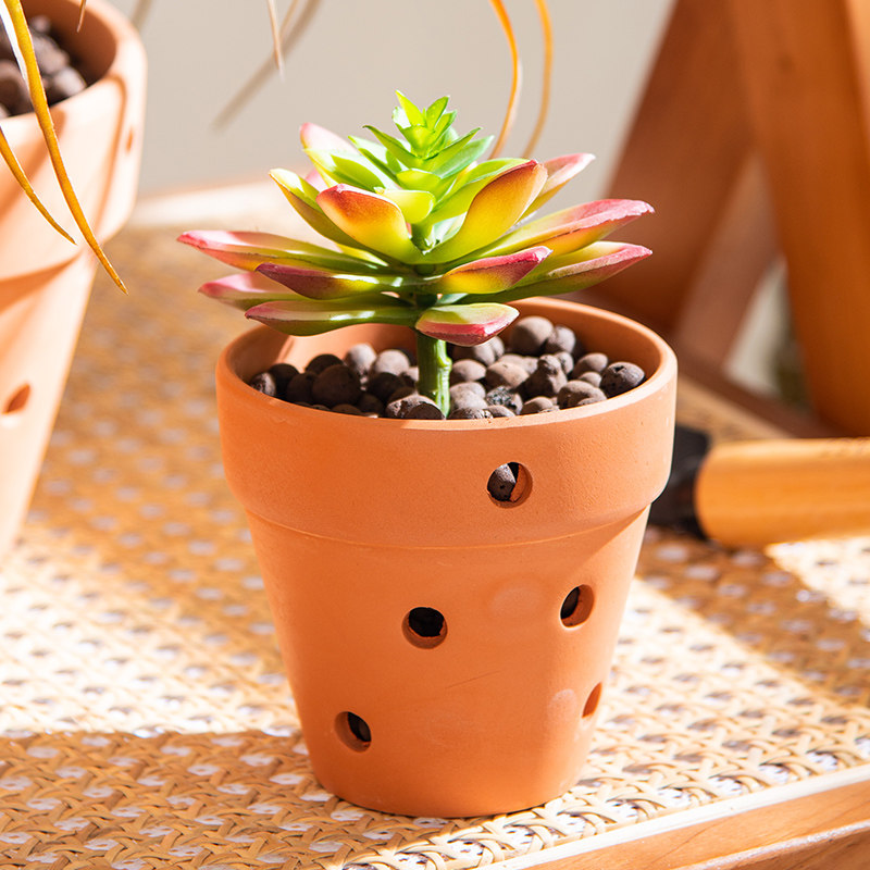 ���մ��ռ�Լ��԰���ø�����ר�ö��10*10 ���� ������  10.5Ԫ��2��(��5.25Ԫ/��)