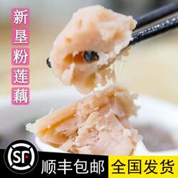 现挖现发南沙新垦莲藕糯米桂花粉藕煲汤焖炖藕粉汤鲜甜五斤包邮