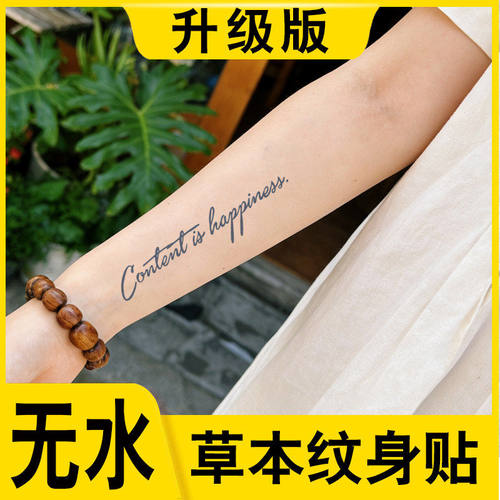 无水草本纹身贴知足常乐英文花体半永久男女防水果汁刺青免水贴纸