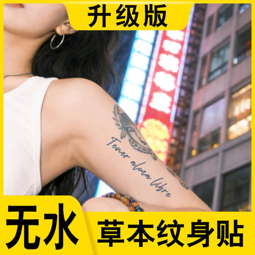 无水草本纹身贴男女情侣个性英文锁骨手臂半永久果汁刺青免水贴纸