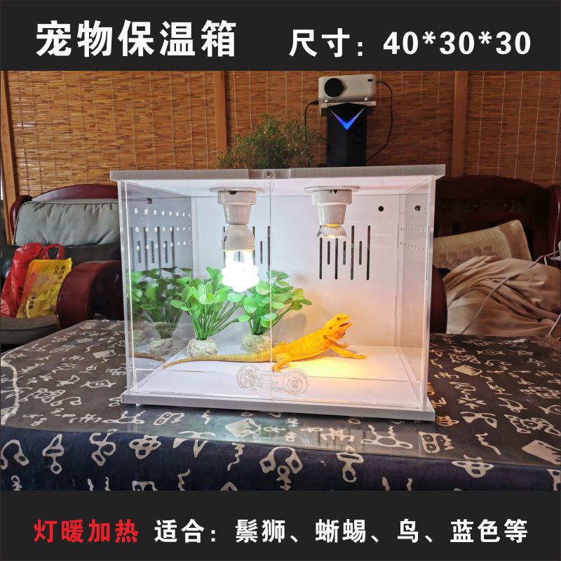 肥尾蜥蜴智能pvc爬宠萌宠过冬