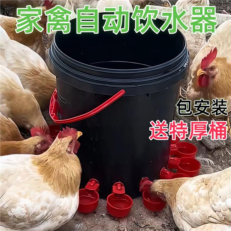 2026鸡鸭鹅用自动饮水器家禽小鸡喝水鸽子新款水壶养鸡喂水器喂鸡