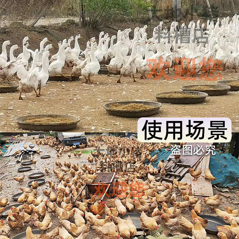 2026喂鸡料盆鸡食槽牛筋熟胶盆养鸡神器仔猪料槽小猪食槽鸭鹅狗饲