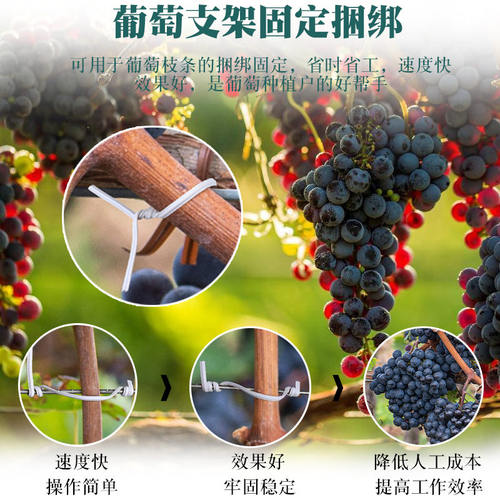 晓灯葡萄园专用铁丝可定制