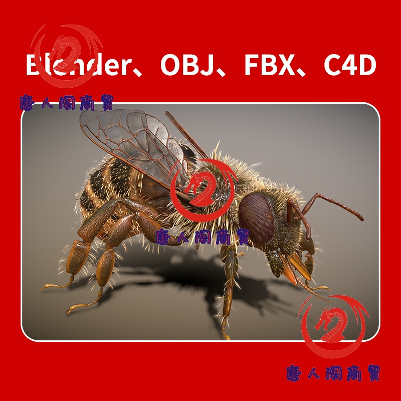 3D文件下载蜜蜂素材blender+fbx+obj+c4d模型maxmaya建模动物101