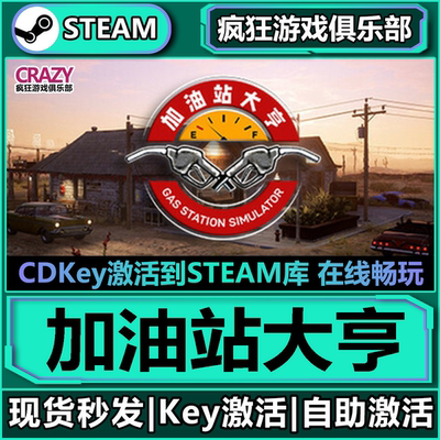 Steam正版加油站大亨全D