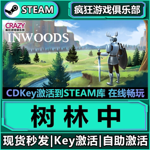 Steam正版 CDKey入库 激活码 Woods全DLC动作类Rogue游戏 树林中
