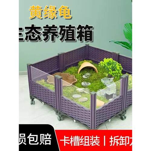 透明乌龟景观生态箱陆龟