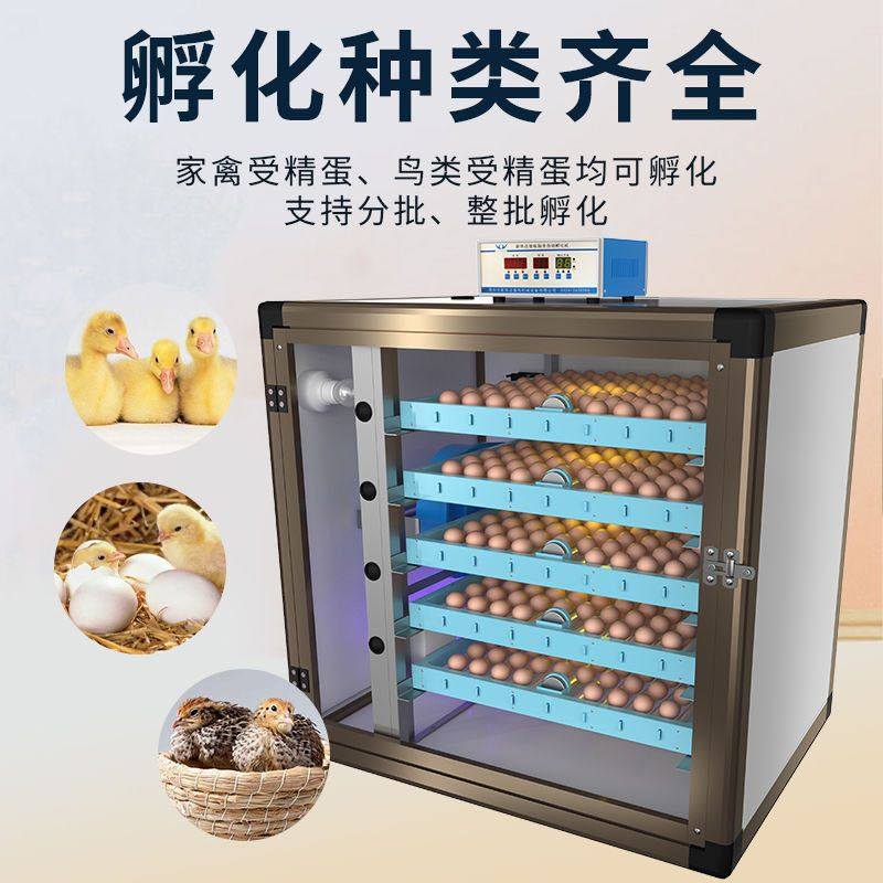 大中小型孵化箱孵蛋机 价格 怎么样 图片