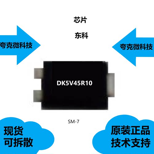 DK5V45R10芯片全新原装供应