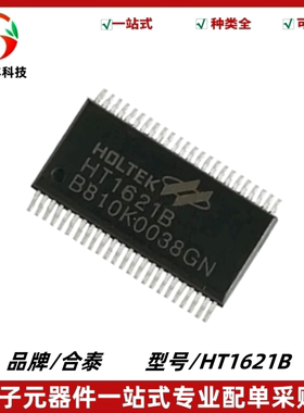 HT1621B LCD驱动器芯片/RAM映射/液晶芯片 封装SSOP-48 质量保证