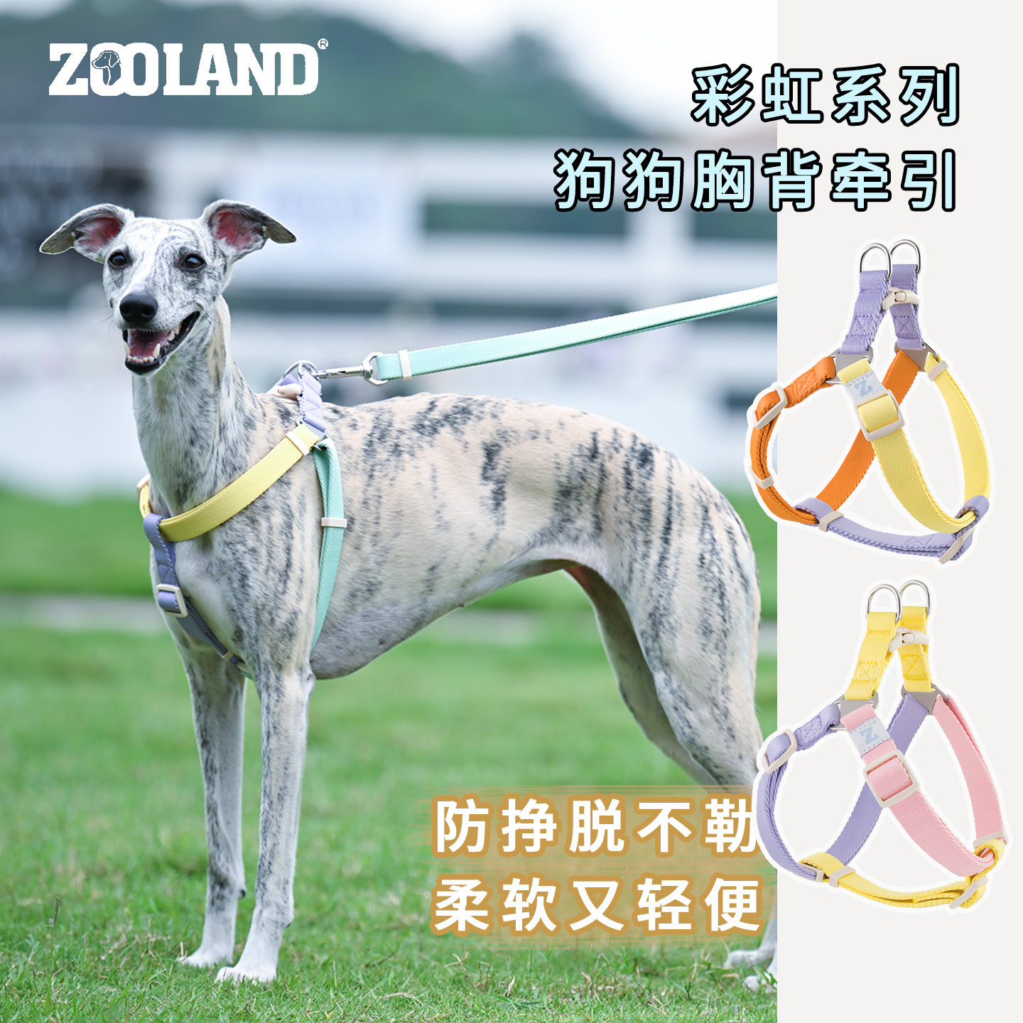 zooland狗狗胸背带夏天牵引绳图片