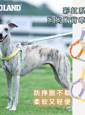 zooland狗狗胸背带遛狗牵引绳不勒脖工字绳小中型犬夏天外出用品
