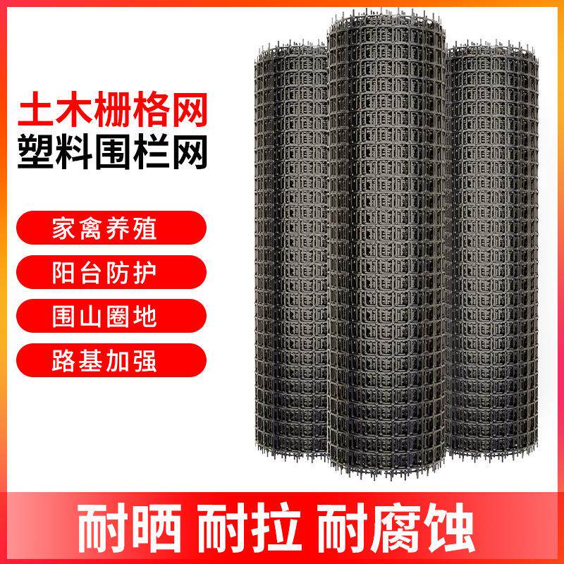 新塑料网格养殖网土工格栅果园鱼塘防护网圈地网漏粪网鸡鸭围栏网