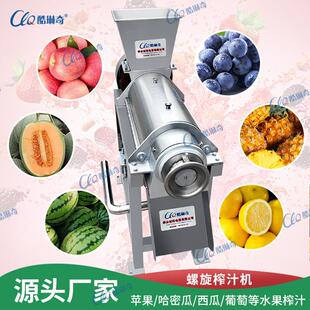 *大型工业黑醋栗、红醋栗柑果砂糖橘螺旋榨汁机青柠柚子肉榨汁机
