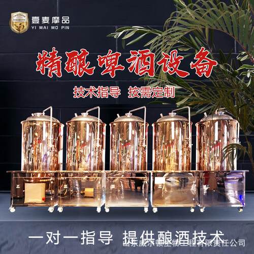 小型生产啤酒机械 精酿啤酒一体售卖机 精酿家用啤酒机器