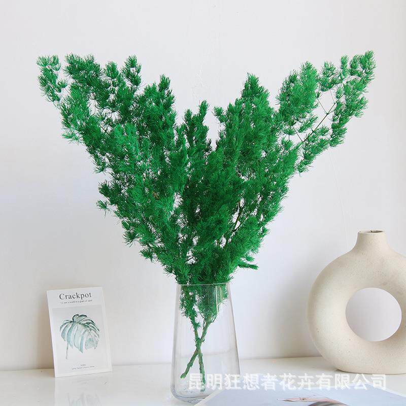 狂想者工厂永生蓬莱松花束自然干花真花家居装饰拍摄道具配饰材料