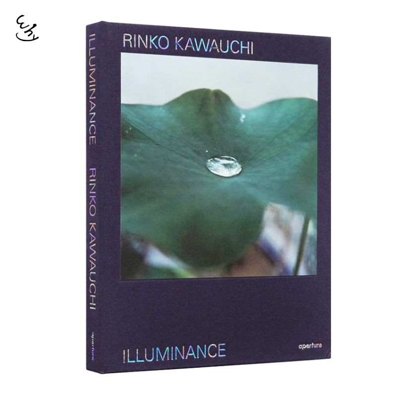 RinkoKawauchi川内伦子照度