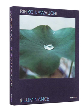 预售 川内伦子:照度 Rinko Kawauchi：Illuminance 10周年纪念版  享它 为什么美术馆 why