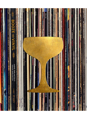 预售 Booze & Vinyl Vol. 1 A Spirited Guide to Great Music and Mixed Drinks 酒与黑胶 听觉派对的终极指南 享它 为什么美术馆