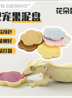 爬宠食盆花朵果泥盘食碟碗睫角守宫蜥蜴盖勾亚R属亚成体成体适用