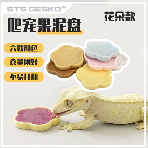 爬宠食盆花朵果泥盘食碟碗睫角守宫蜥蜴盖勾亚R属亚成体成体适用