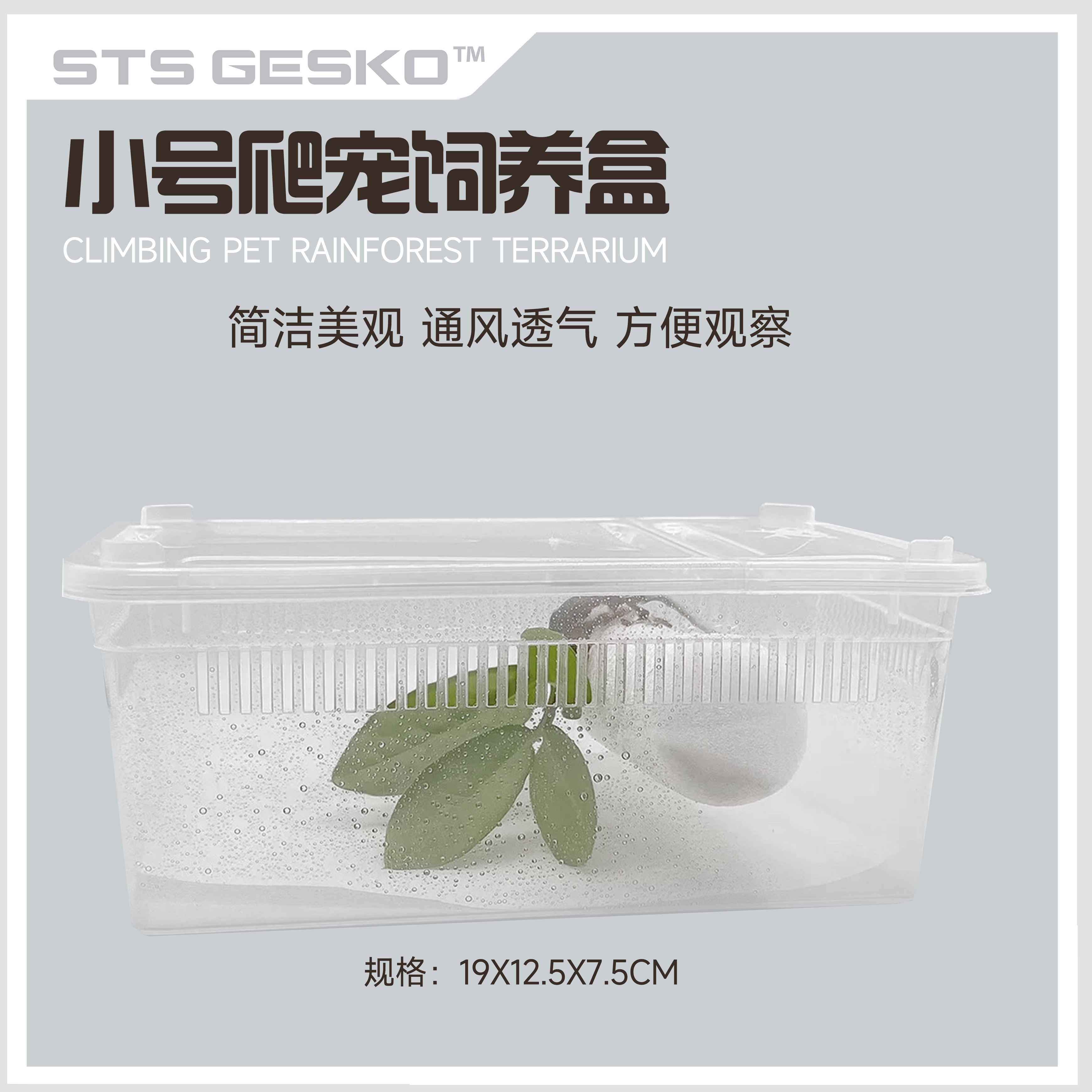 小号爬宠饲养盒带盖爬行爬虫睫角守宫蜘蛛蝎子牛角蛙养蚕