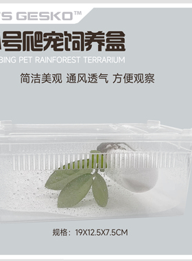 小号爬宠饲养盒带盖爬行爬虫睫角守宫蜘蛛蝎子牛角蛙养蚕