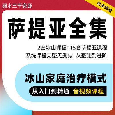 萨提亚 冰山 家庭治疗模式入门到精通视频教程心理+15套全集课程