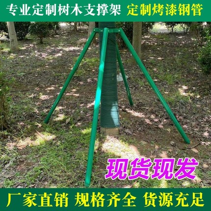 支架金属铁苗木钢管园林防风树木支撑架抱箍大树固定器绿化镀锌