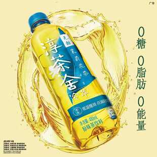 淳茶舍新货玉露绿茶茉莉花茶大红袍铁观音茶饮料480ml 12瓶