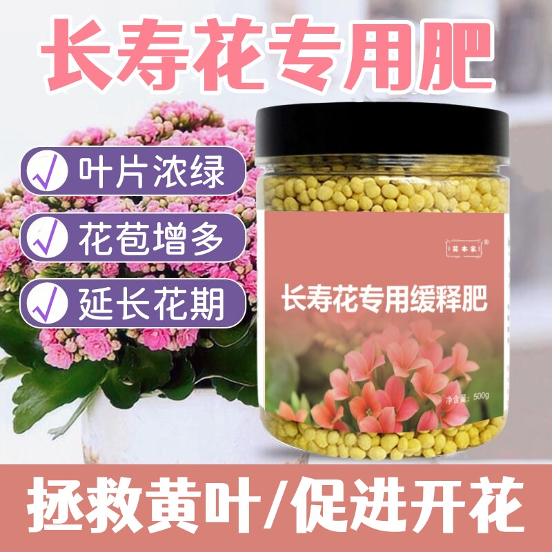 长寿花专用肥料开花养花促花长寿花缓释肥料营养液营养颗粒肥