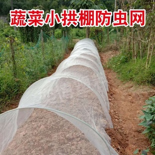 厂促防虫网农用蔬菜大棚专用加厚加密60目猪场养殖防蚊蝇果园果品