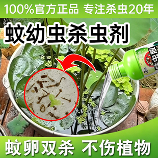 碗莲花卉灭孑孓幼虫药非无毒水池塘蚊子幼虫杀虫剂水培植物杀虫剂