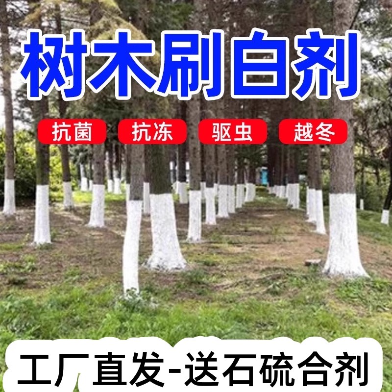 果树涂白剂含石硫合剂